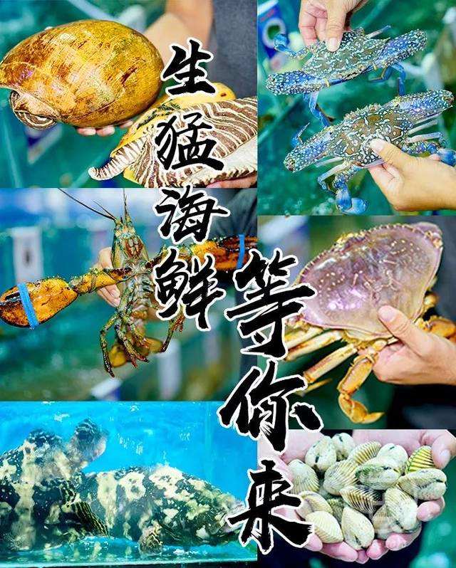 中國大部分的海鮮都是從代發(fā)貨這里批發(fā)？