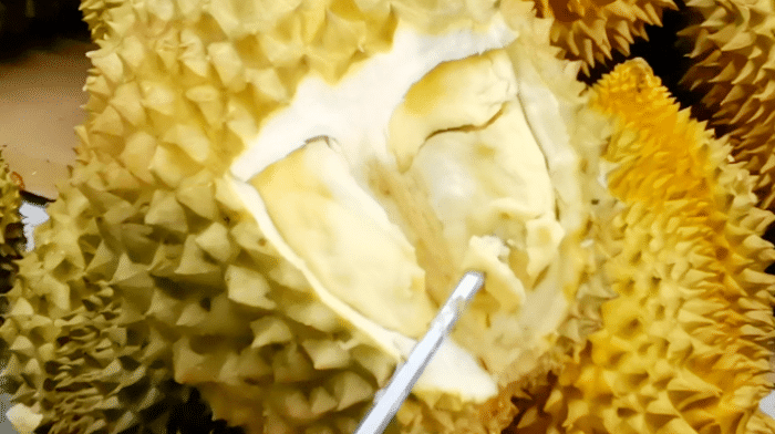 水果店老板賣榴蓮時(shí)，就靠這幾種方法進(jìn)貨，一挑一個(gè)準(zhǔn)，很少賠錢(qián)