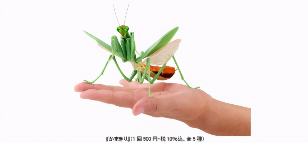 日本五大玩具公司業(yè)績《鬼滅之刃》帶動壽屋，多美三麗鷗繼續(xù)虧損