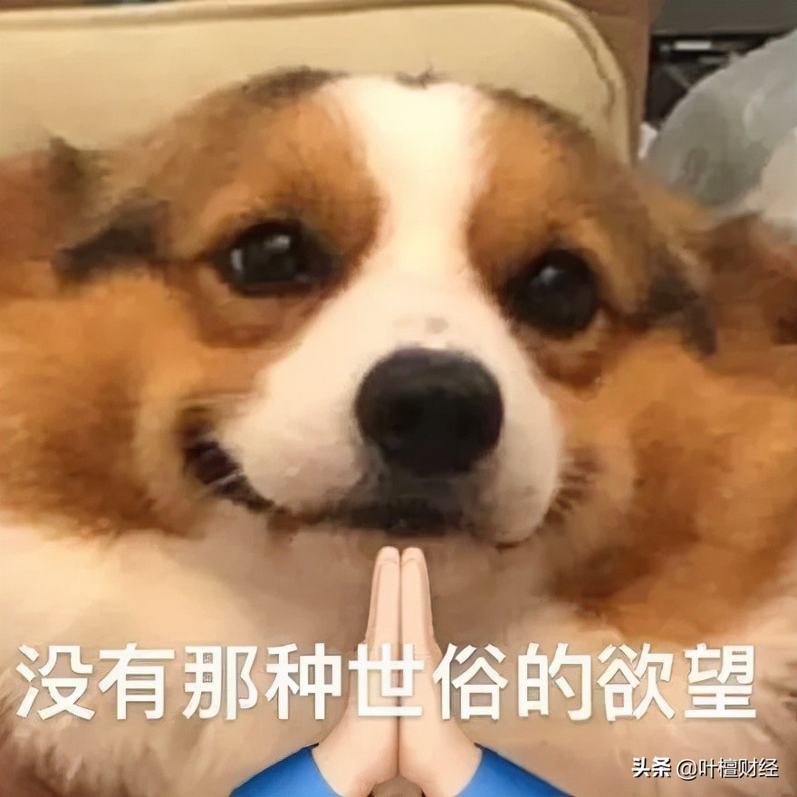 暴漲40倍！還買什么房子股票 都不如炒它香？