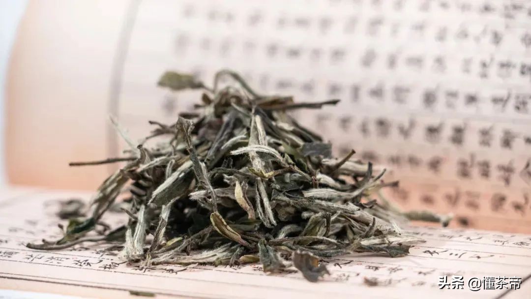 六大茶類代表名茶有哪些？喝過(guò)三款以上才稱得上大神