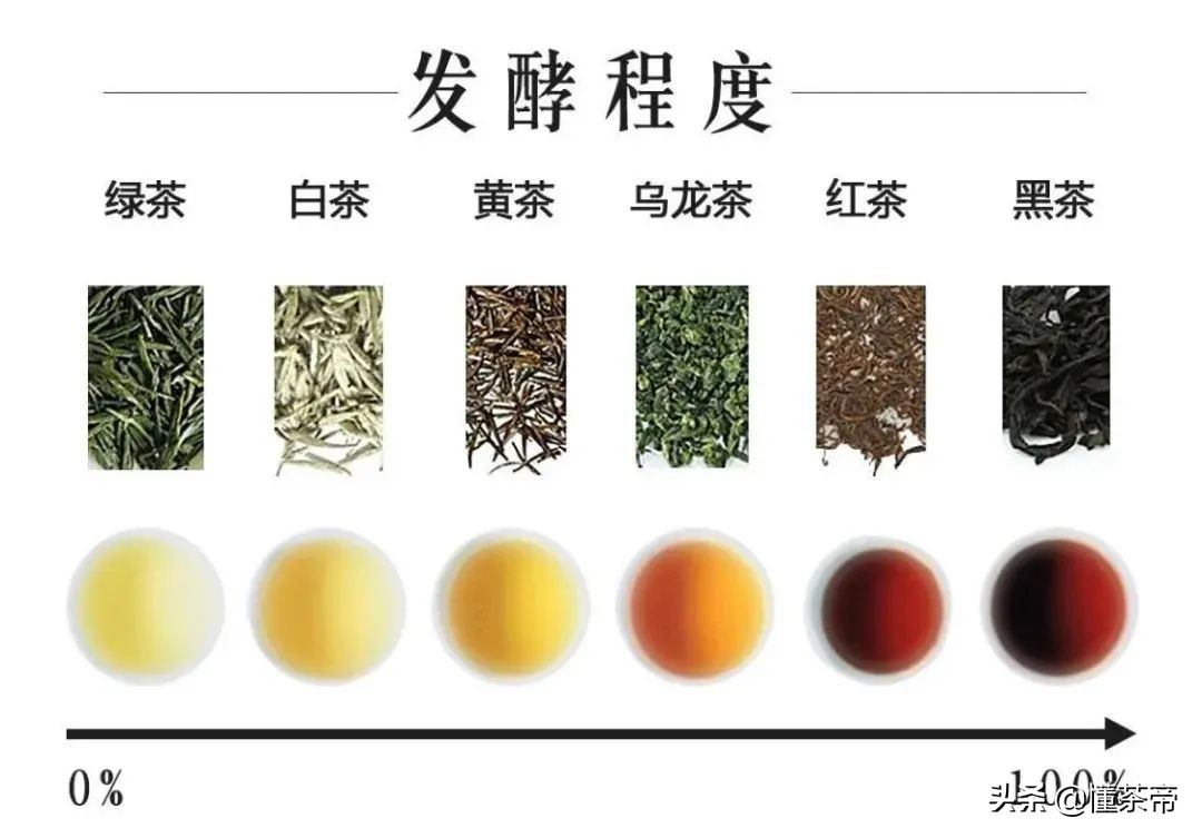 中國名茶有哪些？中國有哪些有名的茶品種？