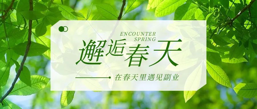 副業(yè)賺錢的路子有哪些？30個靠譜副業(yè)項目！