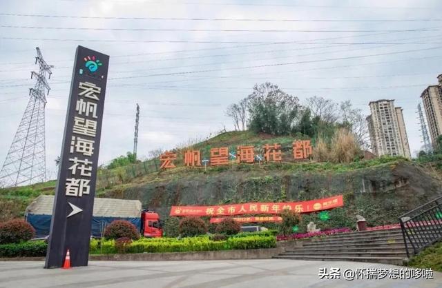 重慶花卉批發(fā)市場一覽表（重慶花卉批發(fā)市場在哪里,幾點(diǎn)拿貨_）