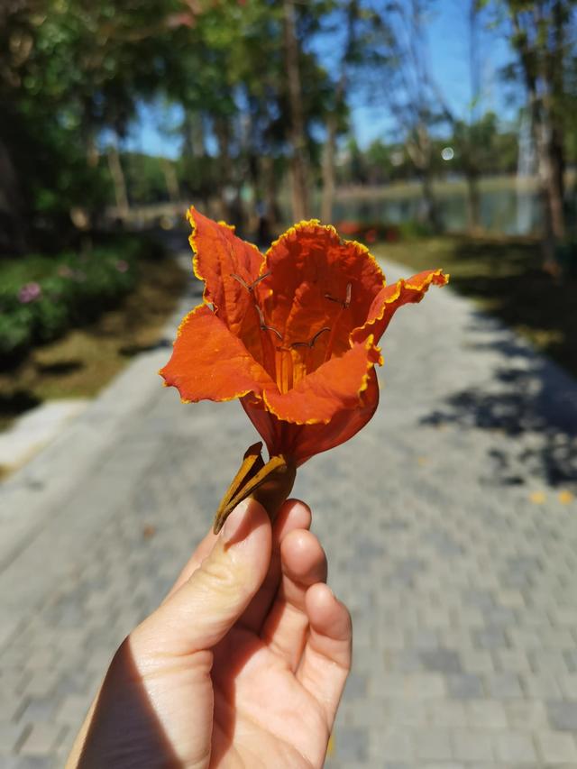 天照天批發(fā)市場(chǎng)新地址（天照天皇）