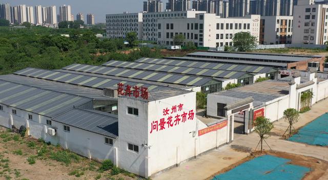 花卉批發(fā)市場(chǎng)在哪里花卉批發(fā)價(jià)格（花卉批發(fā)基地）