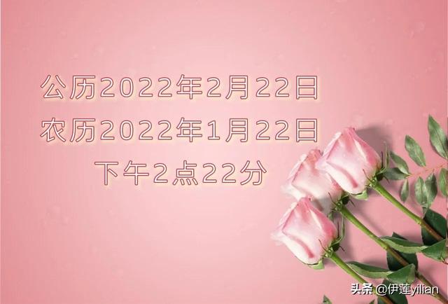 一簾幽夢(mèng)演員表（一簾幽夢(mèng)之復(fù)仇）