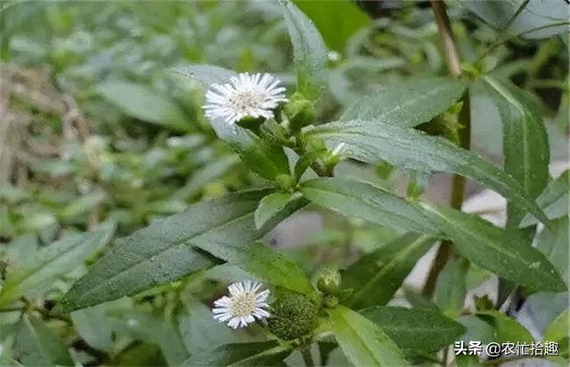 得物上賣(mài)家的貨源怎么來(lái)的（得物上的貨源是個(gè)人嗎）