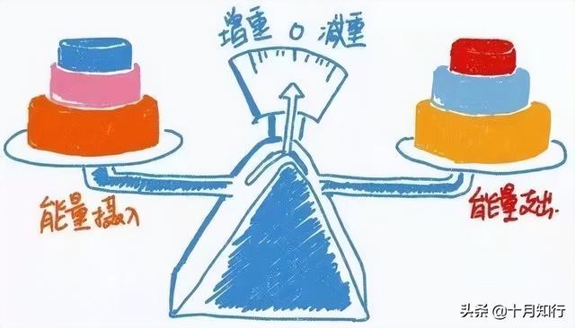 最近沒吃什么反而越來越胖了 抑郁癥（最近沒吃什么反而越來越胖了去醫(yī)院掛什么號）