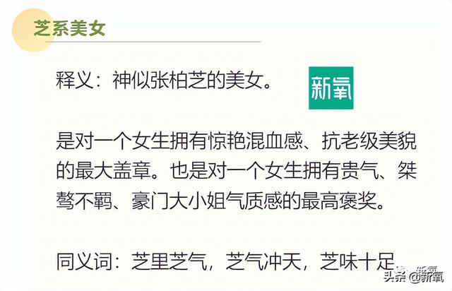 嬋芝內衣（嬋姿翼內衣）