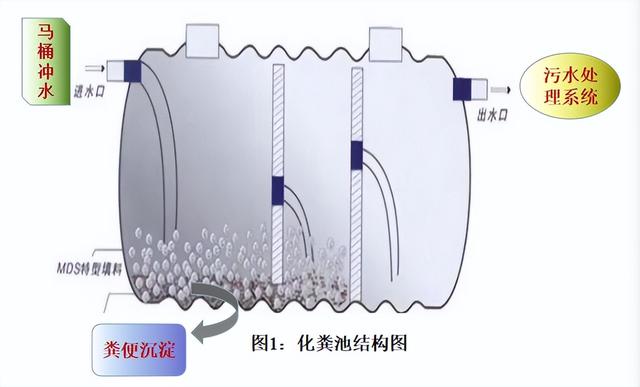 胰酪大豆胨怎么讀，胨怎么讀音？