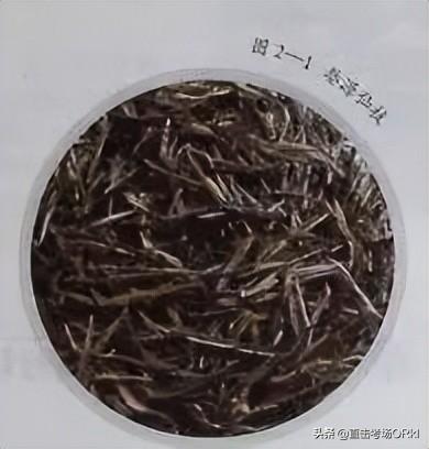 海浮石產(chǎn)自哪里，浮石是哪里？