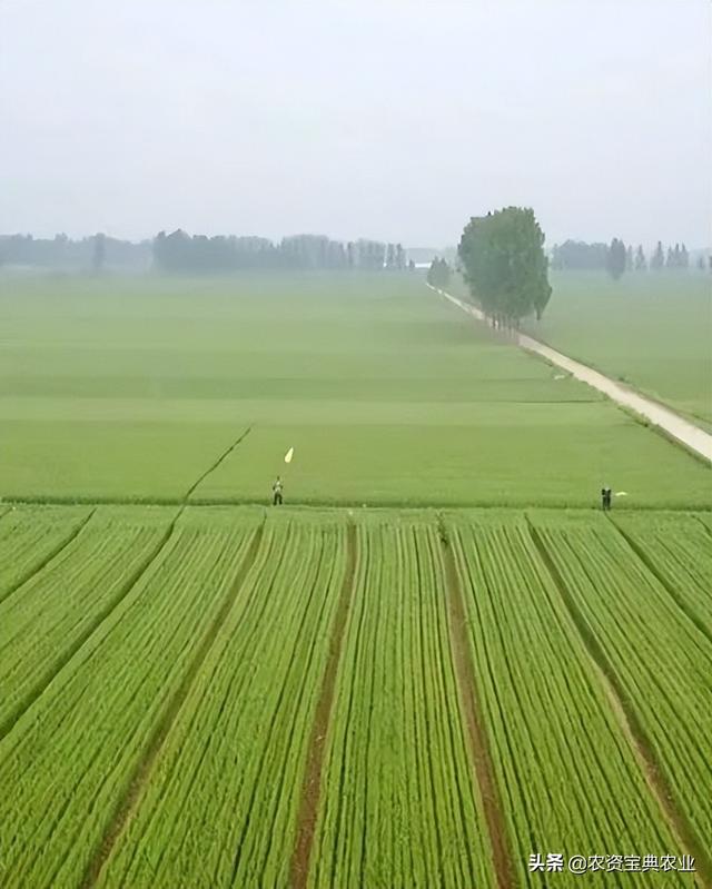 昆侖代理注冊，昆侖有限公司？