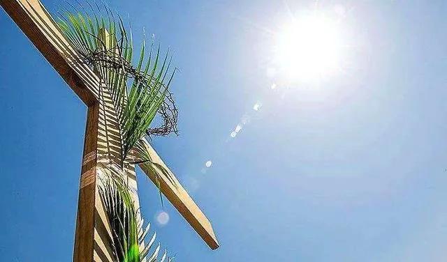 基督教講道，歷史上的這一天，他彰顯權(quán)柄，潔凈神圣的殿堂？