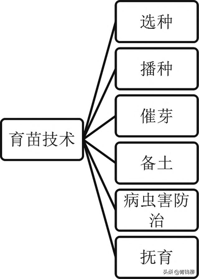 對硝基氯甲苯結(jié)構(gòu)，對氯間硝基苯甲酸結(jié)構(gòu)式？