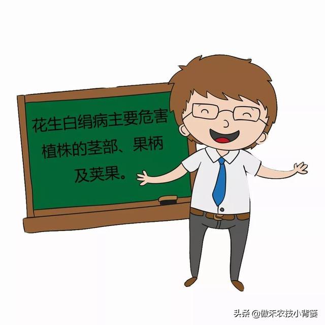 對(duì)氯硝基苯和氫氧化鈉反應(yīng)方程式，對(duì)氯硝基苯和甲醇鈉反應(yīng)？