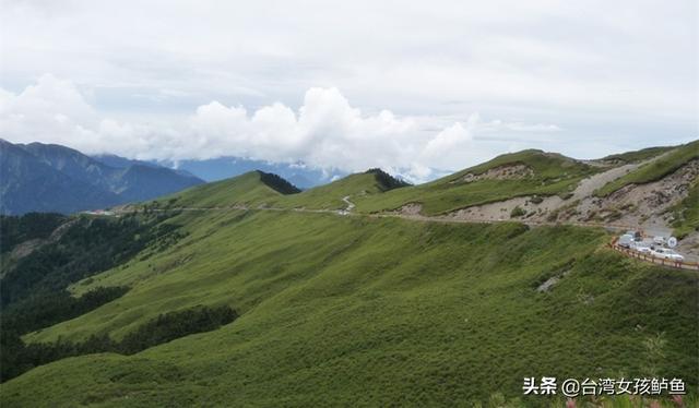 大舜皇山刺兒茶哪里買(mǎi)（大舜皇山刺兒茶飲）