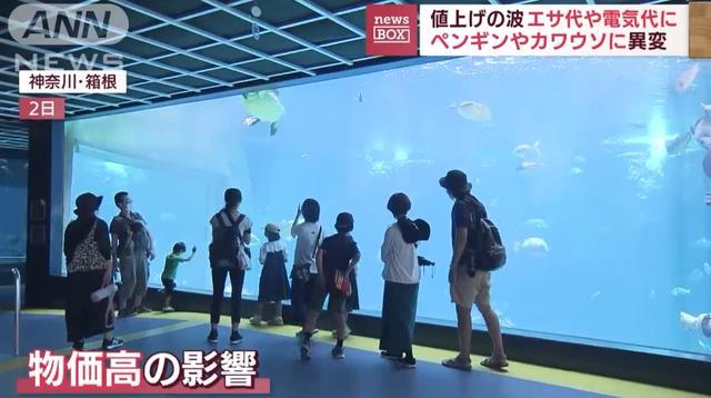 日生高級水族箱，日升水族箱廠家官網(wǎng)？