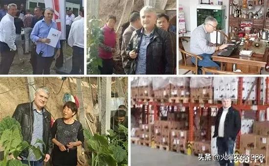 專門貨到付款的網站叫什么（專門貨到付款的網站有哪些）