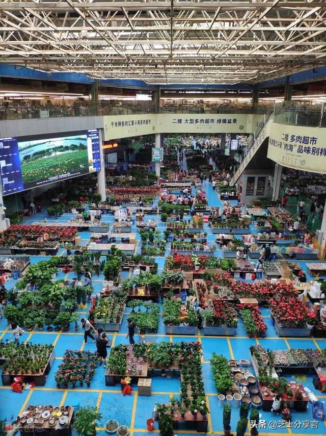 昆明鮮花批發(fā)市場地址，昆明鮮花批發(fā)市場地址電話？
