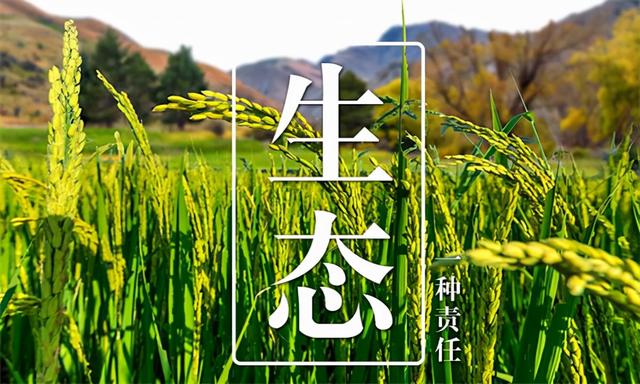 大米批發(fā)進(jìn)貨渠道電話，大米批發(fā)進(jìn)貨渠道電話號碼？