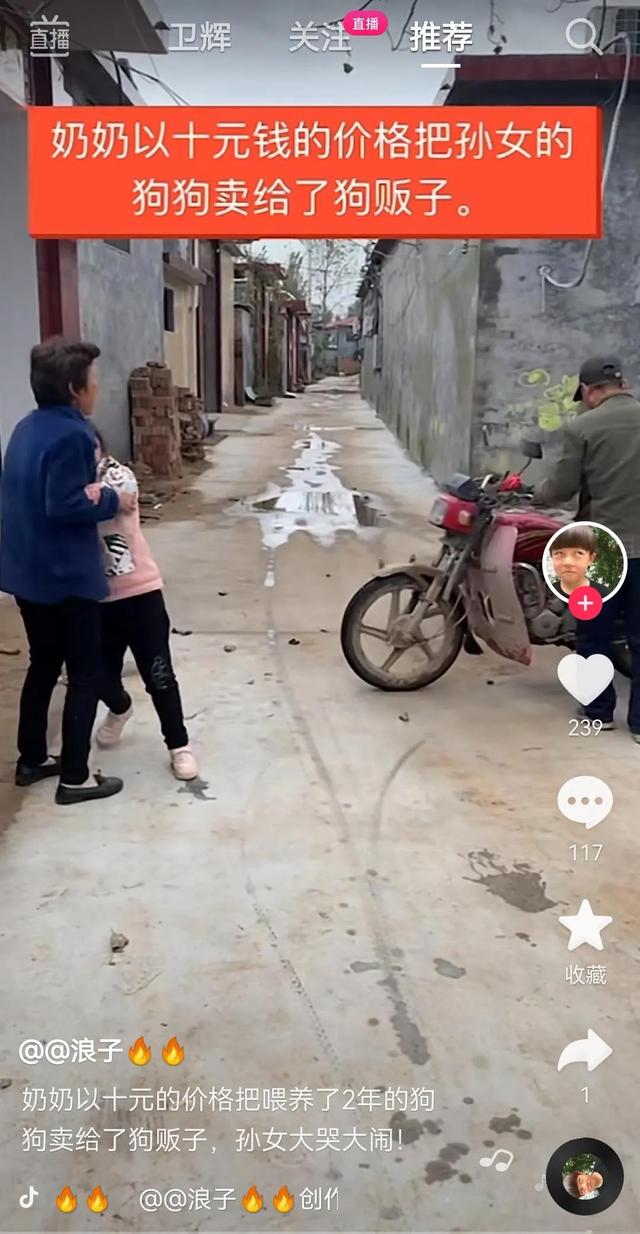 買小狗10元一只，買小狗10元一只茶杯犬？