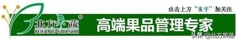 果樹苗批發(fā)基地三年苗各種苗大全價(jià)格，哪里有果樹苗批發(fā)基地？