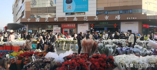 云南花卉批發(fā)基地在哪里，云南花卉批發(fā)基地在哪里有？