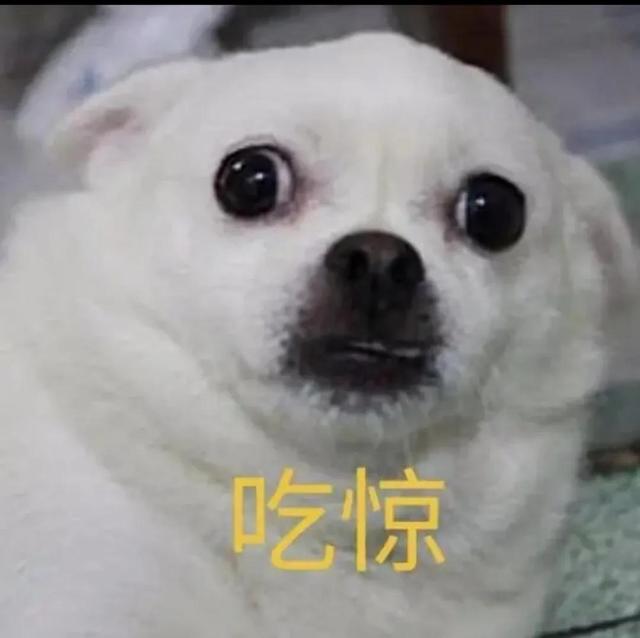 上海試藥員的正規(guī)報名渠道在哪，上海試藥員的正規(guī)報名渠道在哪找