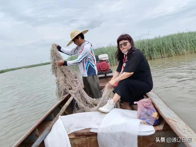 供應(yīng)批發(fā)蘆葦種苗廠家，供應(yīng)批發(fā)蘆葦種苗廠家電話