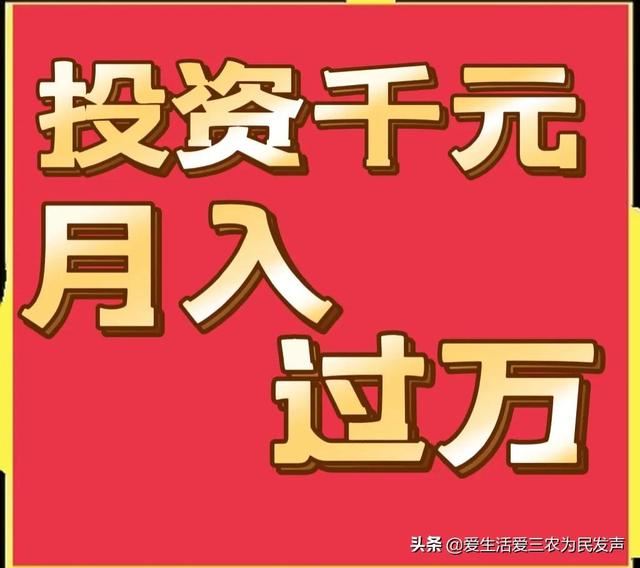 跑江湖地?cái)傂庐a(chǎn)品，跑江湖地?cái)傂庐a(chǎn)品怎么做