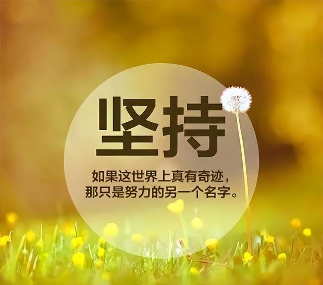 拼多多無貨源如何開網(wǎng)店全套教程，拼多多無貨源如何開網(wǎng)店全套教程推薦多多大師
