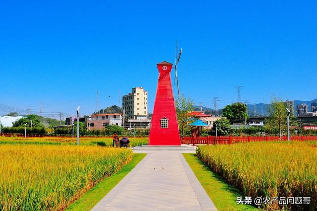 農(nóng)產(chǎn)品一手貨源批發(fā)網(wǎng)包郵,最便宜的最近的，農(nóng)產(chǎn)品批發(fā)網(wǎng)哪個(gè)便宜