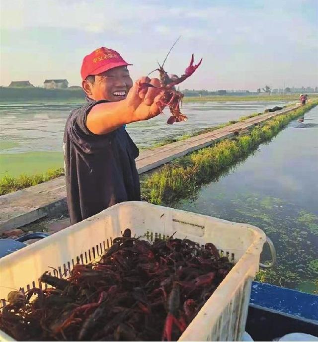 在家做手工貨源從哪找許昌有沒有，許昌手工活外發(fā)_廠家怎么找