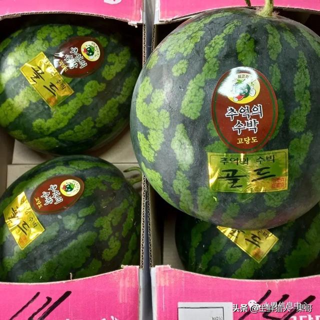 想賣水果怎么找貨源高州地區(qū)，想賣水果怎么找貨源高州地區(qū)的？