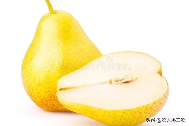 蘋果批發(fā)價(jià)格多少錢一斤算不貴，蘋果市場價(jià)格多少錢一斤？