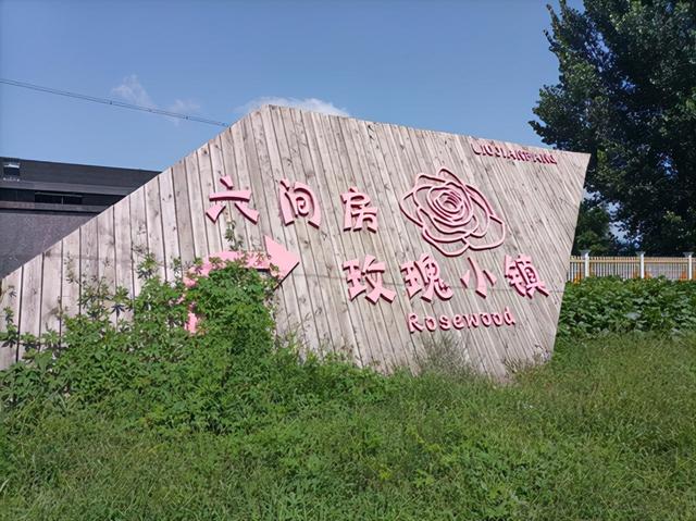 沈陽花卉批發(fā)基地在哪里，沈陽花卉批發(fā)基地在哪里啊？