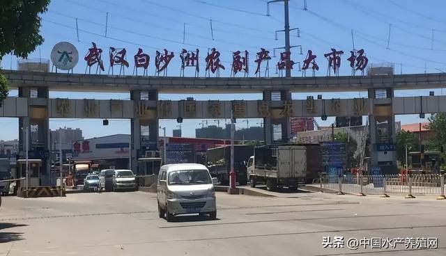 水產(chǎn)品批發(fā)市場在哪里，成都水產(chǎn)品批發(fā)市場在哪里？