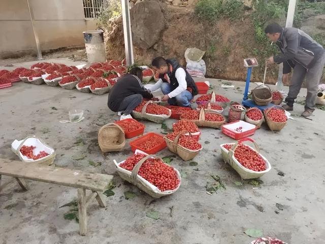 十元地?cái)傌?00批發(fā)_暴利，10元起地?cái)傌?00元批發(fā)？