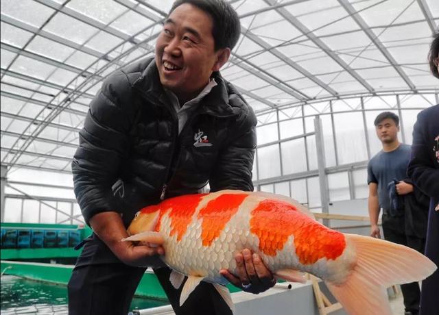 觀賞魚批發(fā)從哪里進貨最便宜_汕頭市，汕頭觀賞魚批發(fā)市場在哪里？