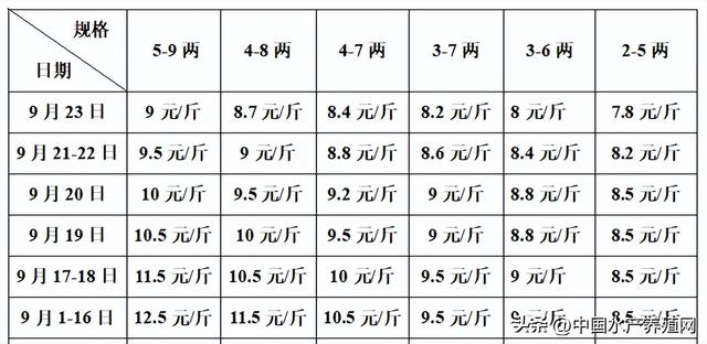 牛蛙批發(fā)價多少錢一只，牛蛙多少錢一斤市場價格？