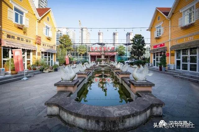 觀賞魚在哪批發(fā)，汕頭寵物魚批發(fā)在哪里？