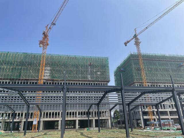 花卉批發(fā)市場進貨渠道仁壽，花卉批發(fā)市場進貨渠道鄭州？