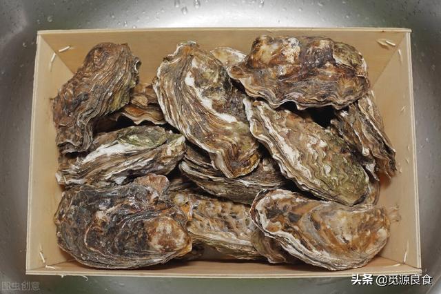 福建生蠔批發(fā)一手貨源，生蠔批發(fā)一手貨源多少錢一噸？