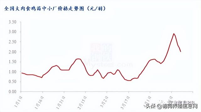 哪里有土雞苗批發(fā)，本地土雞苗批發(fā)市場？