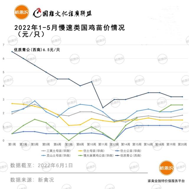 土雞苗批發(fā)市場在哪里，土雞苗批發(fā)市場在哪里的？