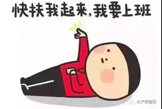 魚苗批發(fā)基地_批發(fā)市場，58同城魚苗批發(fā)？