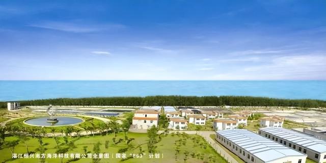 河蝦苗批發(fā)蝦苗基地，哪里批發(fā)蝦苗？