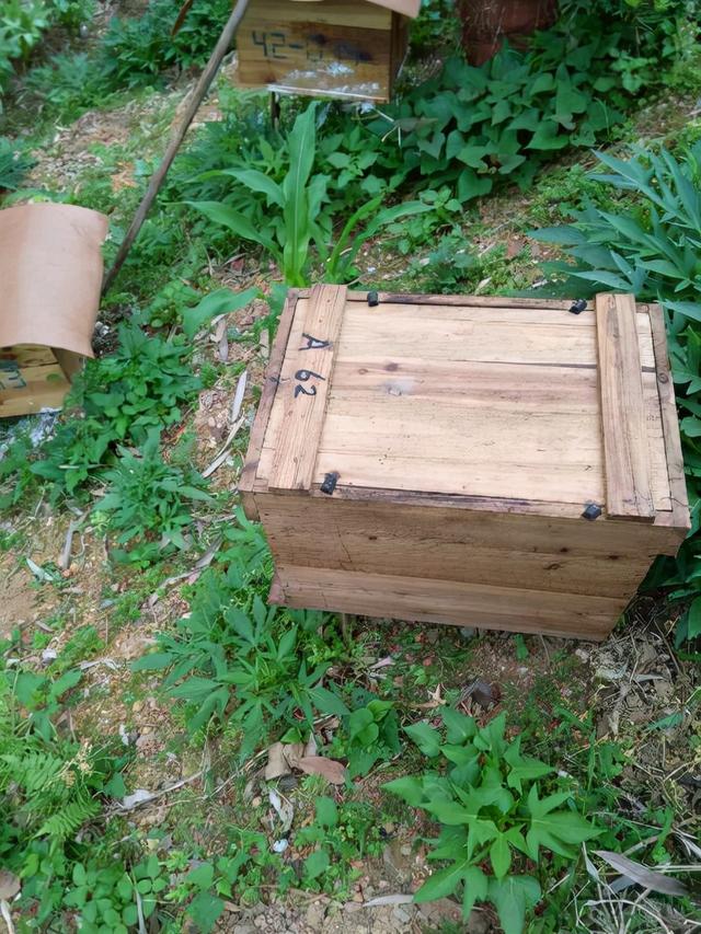 蜂箱批發(fā)30元兩頭開蜂箱，蜂箱批發(fā)30元兩頭開蜂箱好嗎？