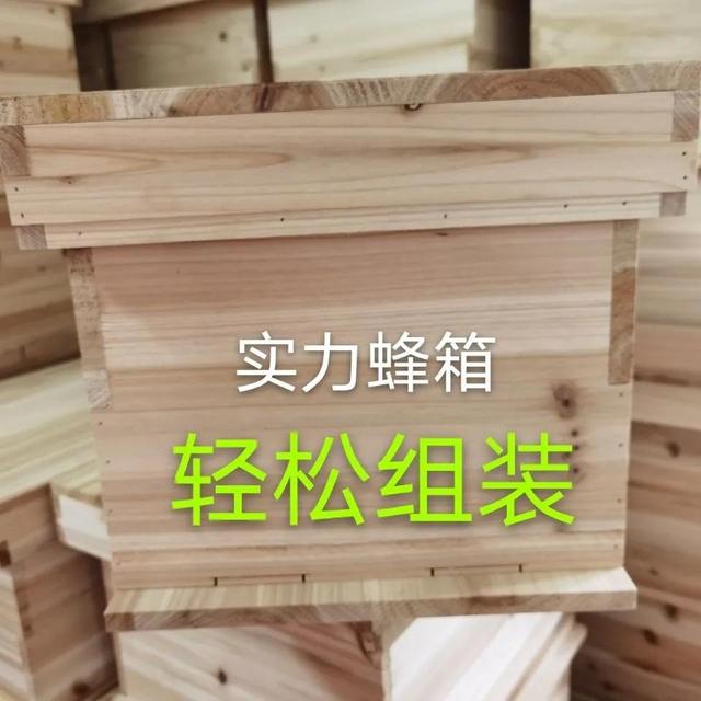 蜂箱怎么賣，哪里有蜂箱賣,多少錢一個(gè)？